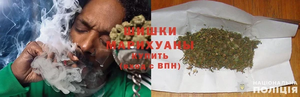 амф Арсеньев
