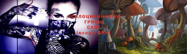 винт Армянск