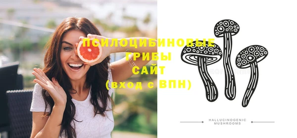 винт Армянск
