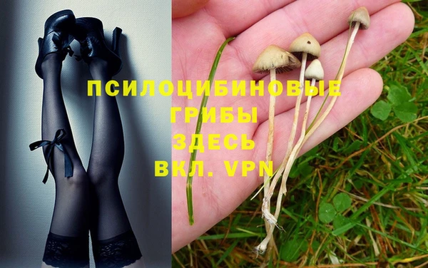 винт Армянск