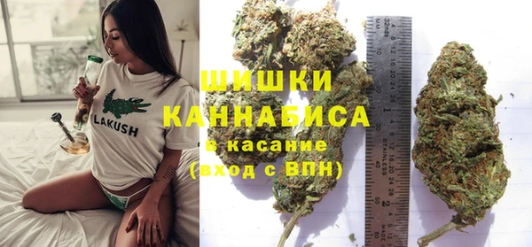 каннабис Аркадак