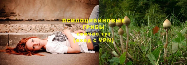 амф Арсеньев