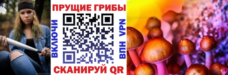Галлюциногенные грибы Magic Shrooms  купить   Певек 